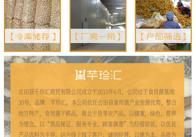 金針菇干貨 食用菌農(nóng)產(chǎn)品無(wú)硫 酒店食材及工廠提煉 批發(fā)聚劃算