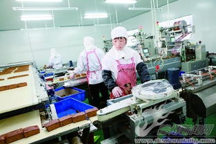 全民創(chuàng)業(yè)正當(dāng)時(shí)