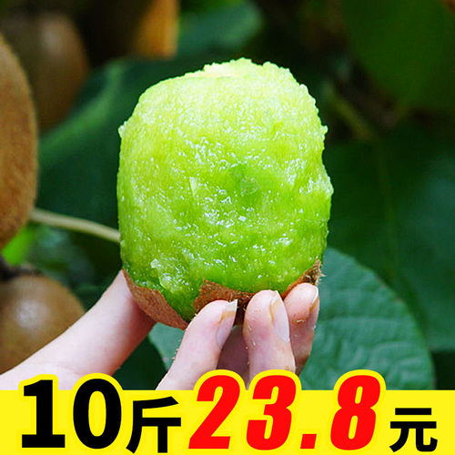 陜西綠心獼猴桃 應(yīng)季鮮果，批發(fā)優(yōu)選