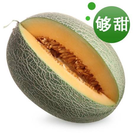 西域饋贈(zèng)，甜蜜當(dāng)季——新疆哈密瓜與西州蜜瓜批發(fā)指南