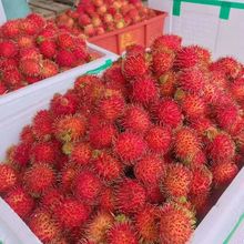 紅毛丹 熱帶佳果的批發(fā)采購(gòu)與市場(chǎng)機(jī)遇
